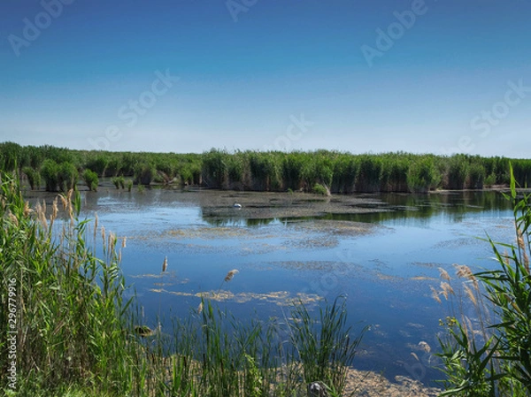 Fototapeta Kazakhstan