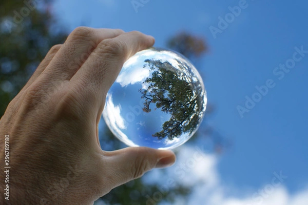 Obraz hand of man holding a lensball in front of blue sky green trees forest mirror reflect circle