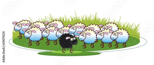Obraz Black Sheep