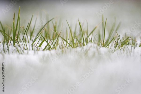 Obraz Wiese im Schnee