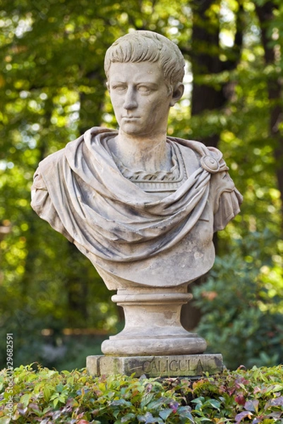 Obraz Roman emperor Caligula.