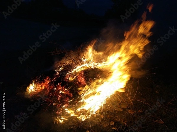 Obraz fire in fireplace