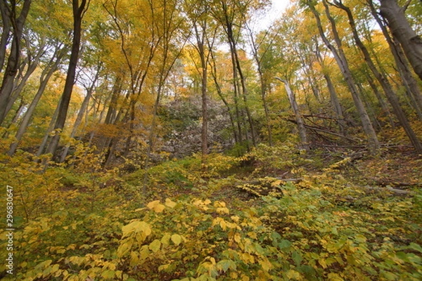 Fototapeta Rezerwat Dolina Racławki