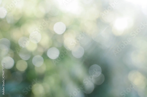 Obraz green nature blurred bokeh background