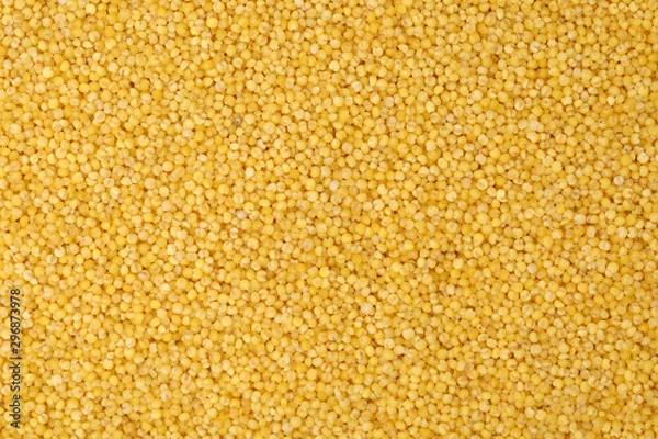 Obraz Millet yellow background