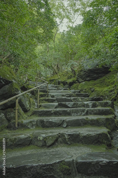 Fototapeta 京都　瑠璃光院　お寺　写真素材　旅行　観光　日本庭園　寺　寺社仏閣