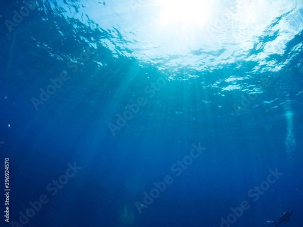 Obraz トカラ列島_口之島_スキューバダイビング