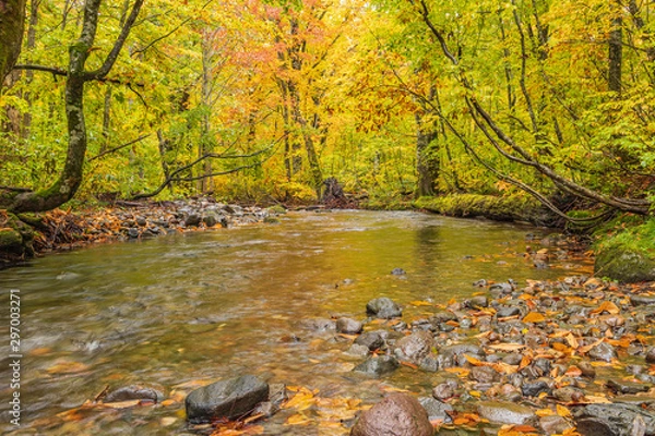 Fototapeta Moriyoshi Park in early autumn
