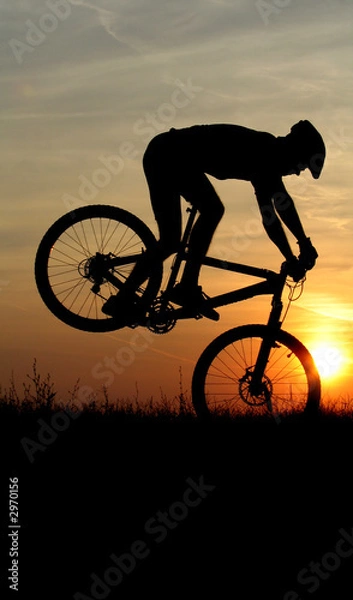 Obraz mountain biker