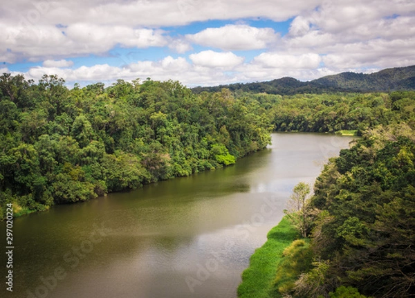 Obraz river in the forest