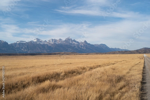 Obraz Elk Refuge Wyoming