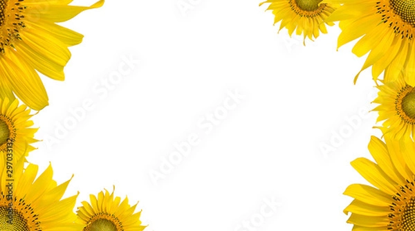 Obraz sunflower flame on isolate background