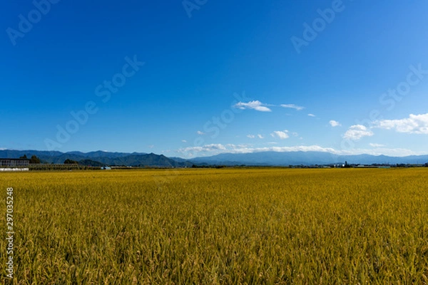 Obraz 山形の田園風景