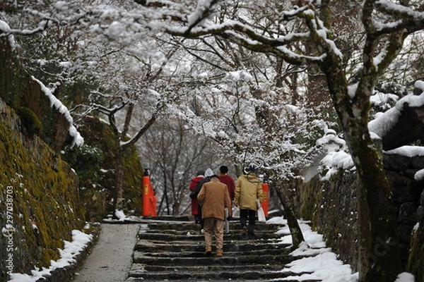 Fototapeta 雪が降った年末の大原の里です