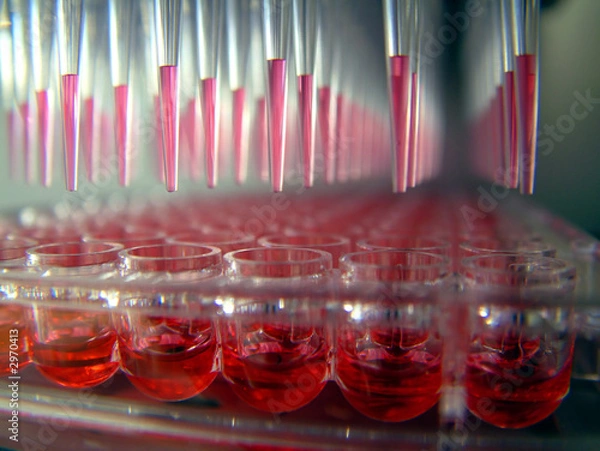 Obraz 96-studzienkowa mikropłytka