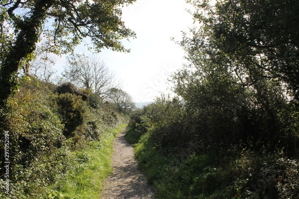 Fototapeta Country Path