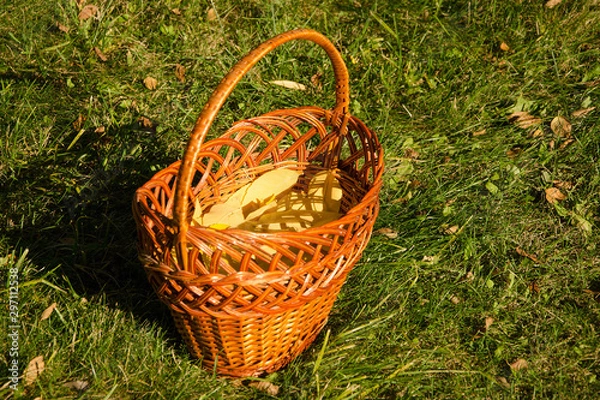 Fototapeta yellow leaves in wicker basket on green grass in autumn.