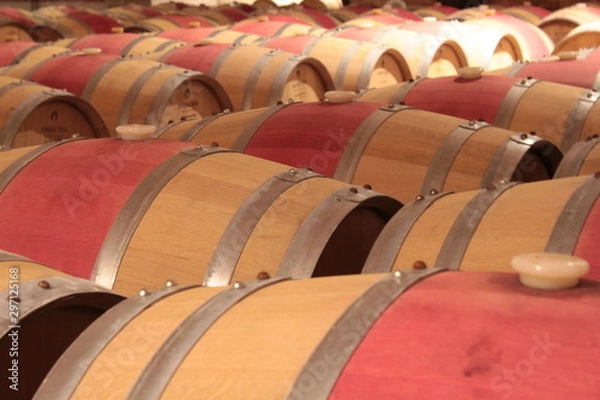 Fototapeta Barrels wine