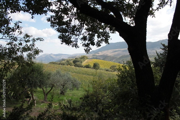 Fototapeta Sicily_landscape