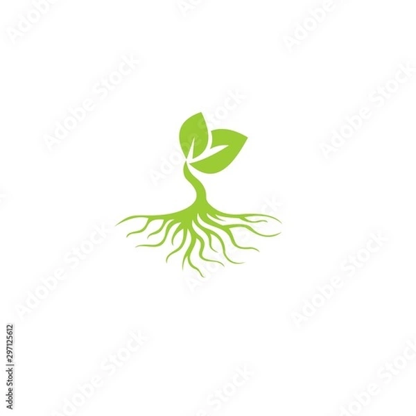 Fototapeta tree with root logo template 