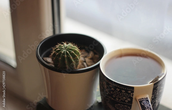 Obraz cup of tea and cactus