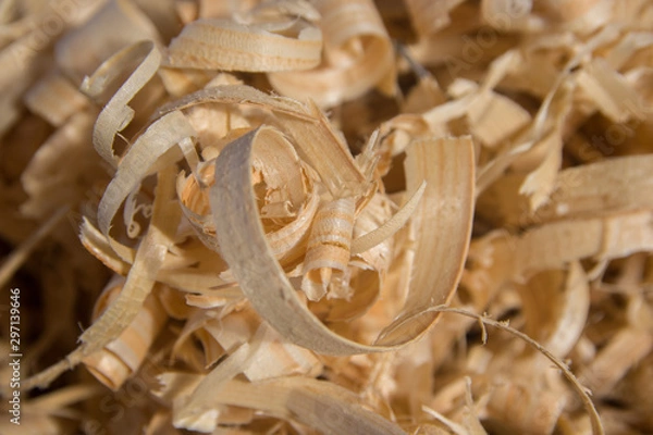 Obraz Sägespäne Späne Abfall Hobeln