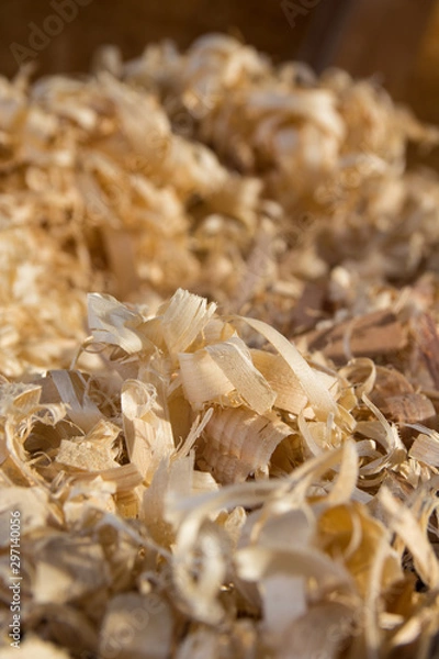 Obraz Sägespäne Späne Abfall Hobeln