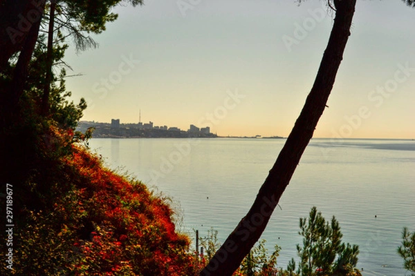 Fototapeta view on Sochi and Blacksea