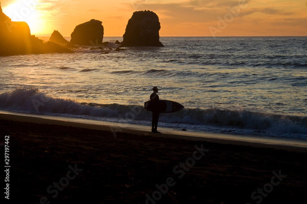 Obraz Surfer on the Beach at Sunset