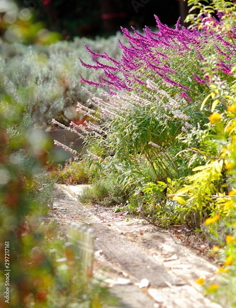 Fototapeta gardening