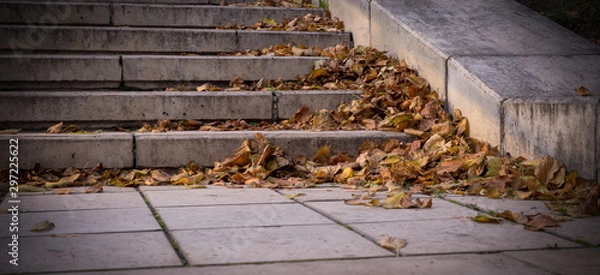 Fototapeta yellow autumn leaves on stone stairs of city park. vignette, background, seasonal.