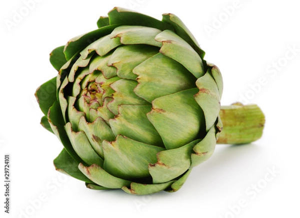 Obraz Artichoke