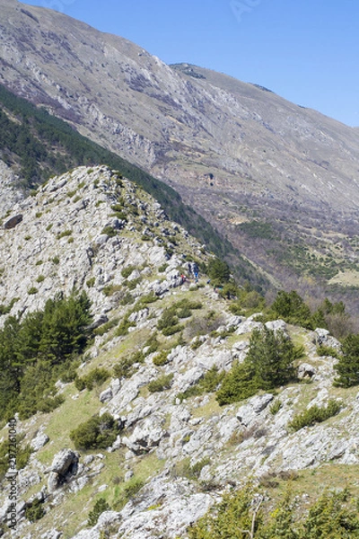 Obraz view of mountains