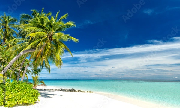 Obraz tropical paradise beach with white sand and coconut palm trees
