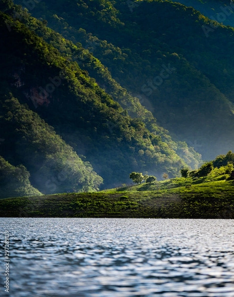 Obraz trees on the ground and mountain 
