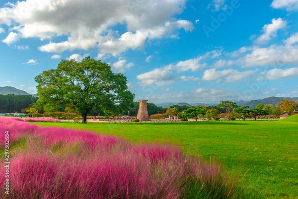 Obraz  Pink meadow in Samseong Dae Cheomseongdae Park in Gyeongju, South Korea Cheomseongdae It is the oldest astronomical observatory surviving in East Asia.
