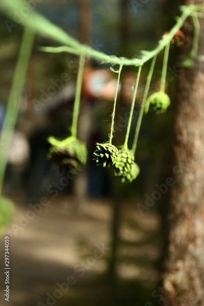 Obraz plant in a pot