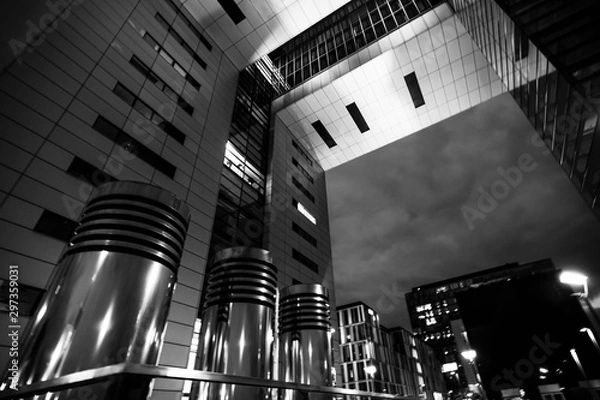 Obraz Under the cranes