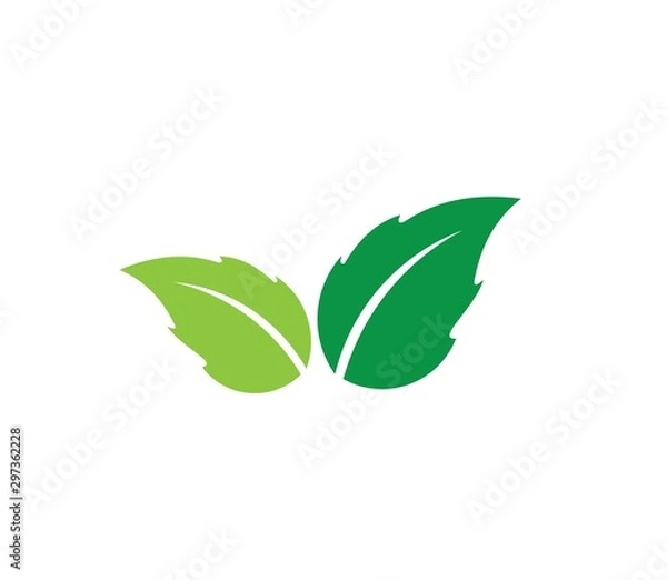 Obraz green leaves vector icon design on white background.