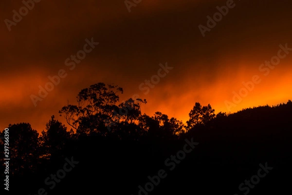 Fototapeta Hakuna Matata