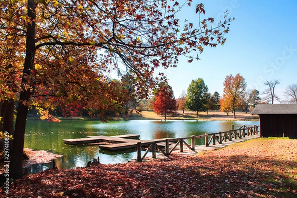 Obraz Beautifully park during Autumn/Fall