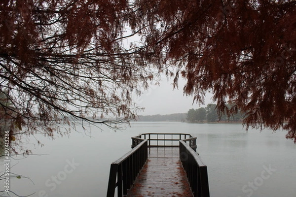 Obraz Beautiful romantic  scene 