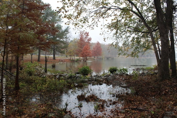 Obraz autumn in the park