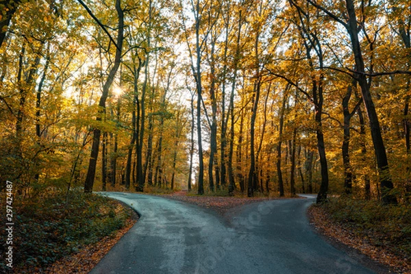 Fototapeta road goes two ways directions in a beautiful autumn forest symbol of making a decision