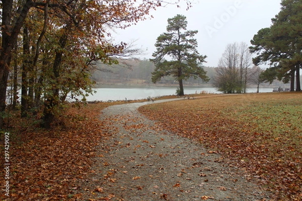 Obraz Beautiful color park during autumn/fall