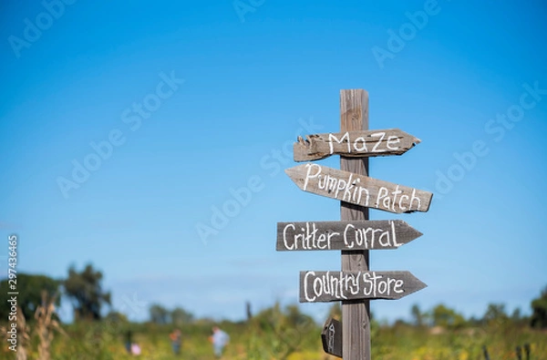 Obraz directional signpost in rural area with field and blue sky background, pumpkin patch sign with people in the background picking out pumpkins, fall season, halloween pumpkins