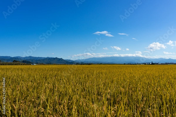 Obraz 山形の田園風景