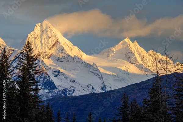 Obraz Peaks Through the Trees