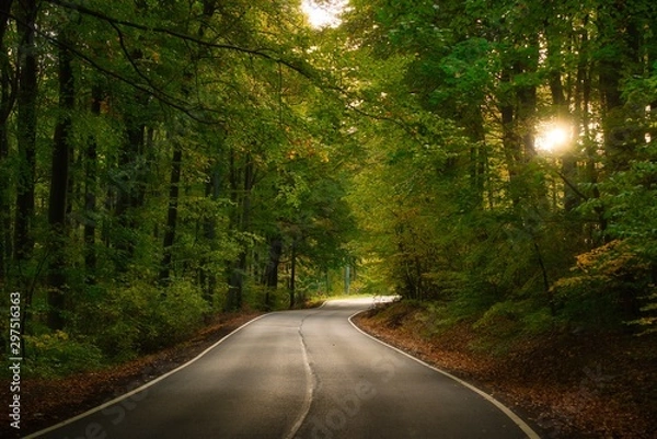 Obraz Asphalt road across autumn forest