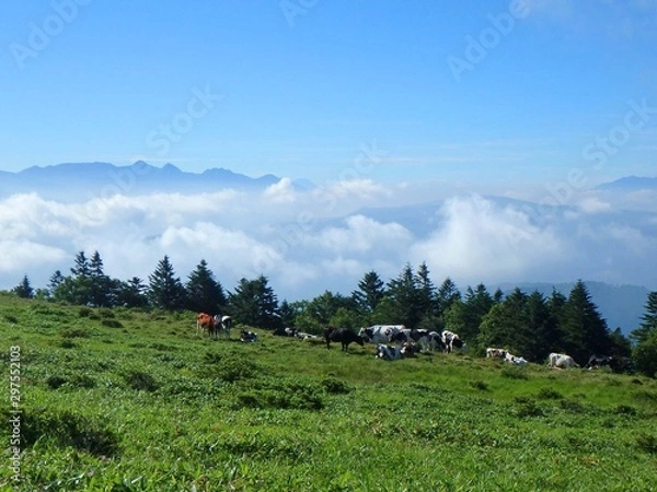 Obraz 美ヶ原高原